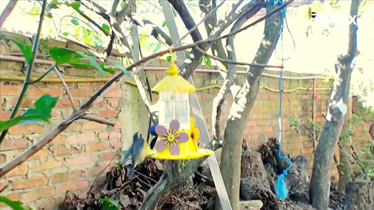 Vídeo