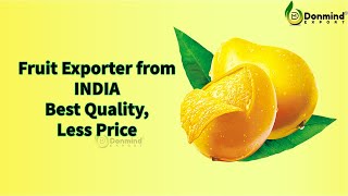 Alphonso Mango exporters from India #DonmindExport company profile screenshot 2