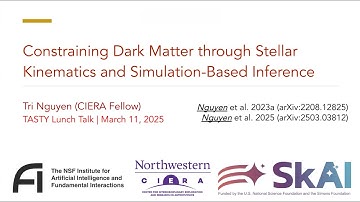 Constraining Dark Matter through Stellar Kinematics and Simulation-Based Inference - Tri Nguyen MIT