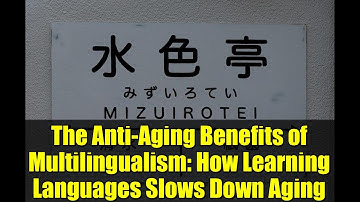 The Anti-Aging Benefits of Multilingualism: How Learning Languages Slows Down Aging