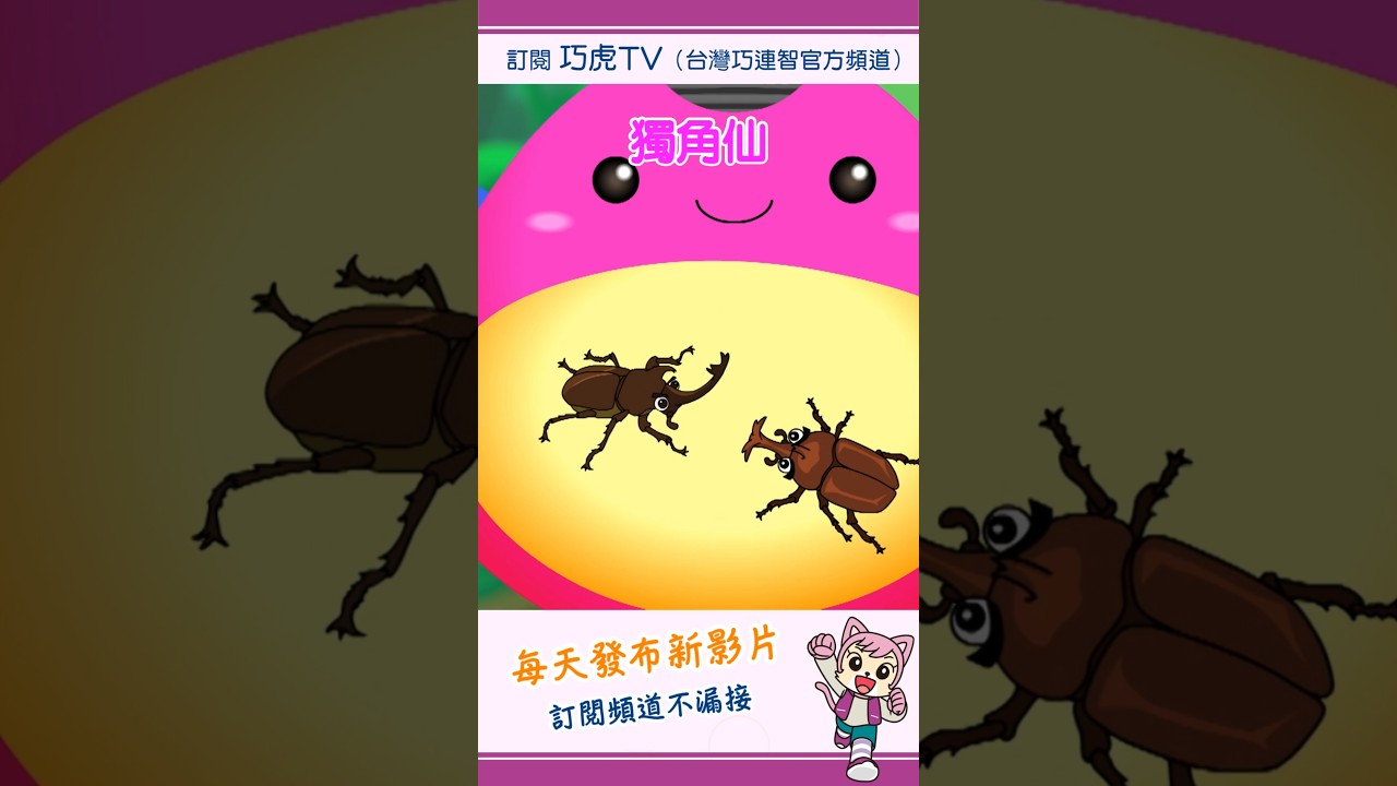 巧虎【知識小補帖】獨角仙|預告片 #幼兒 #自然 #親子 #育兒 #卡通 #動畫 縮圖
