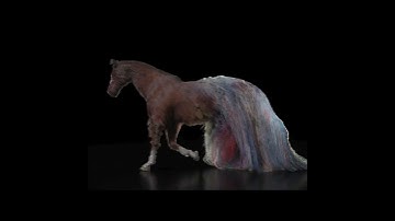 Houdini MaterialX hair