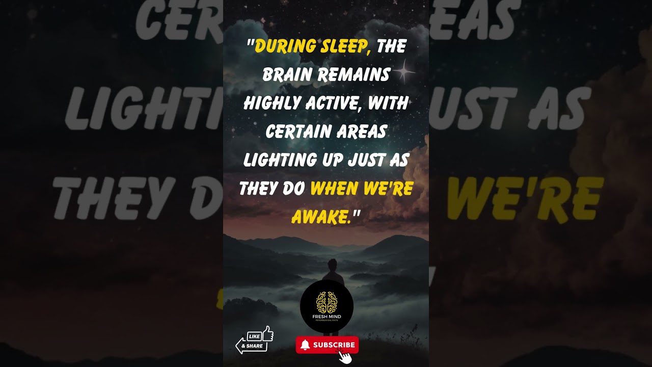 "Your Brain Stays Active During Sleep: Just Like When You're Awake 🧠💤"
