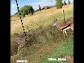 (Namna Mungu anavyotulinda (Cheetah vs Antelope)