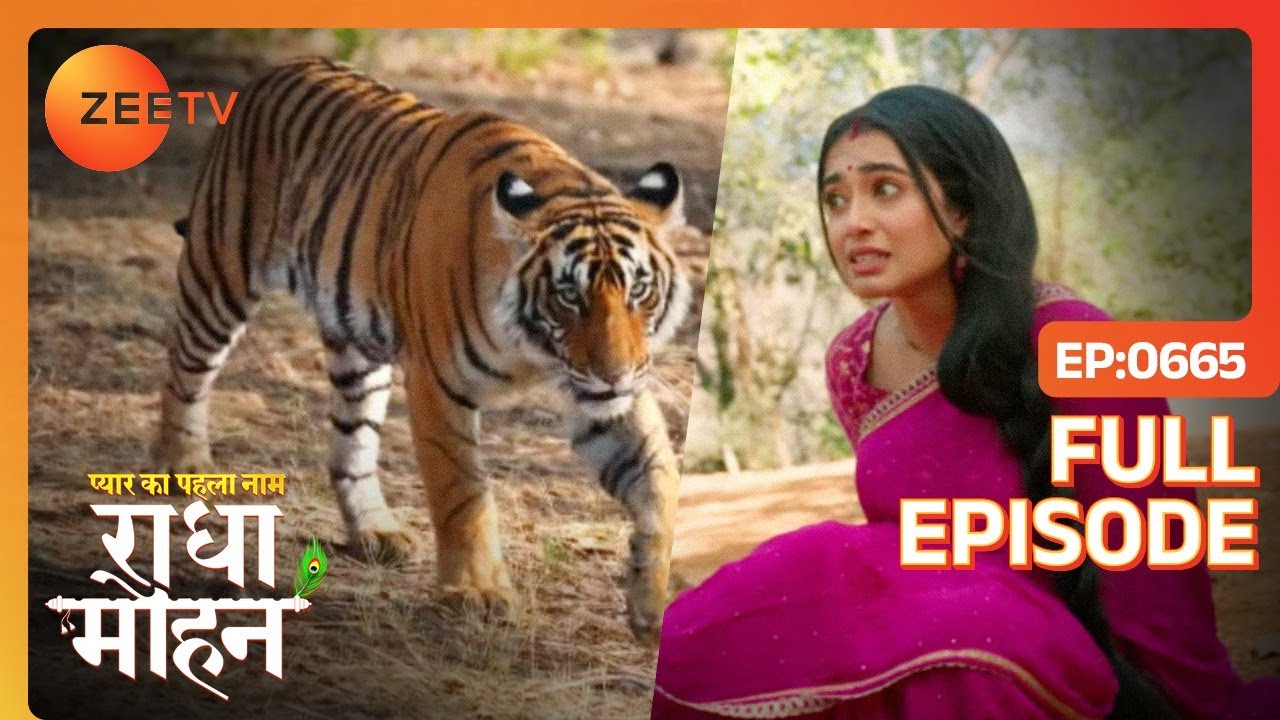 बाघ ने Radha को निशाना बनाया - Pyar Ka Pehla Naam Radha Mohan - Full Episode 665 - Zee Tv - 7 Mar 24