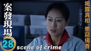 Scene of Crime Ep28 Wang Zhifei & Yan Shikui decrypt a shocking case together!Who's the real culprit
