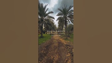تلاوة من سورة يوسف | القارئ ماهـر المعيقلي