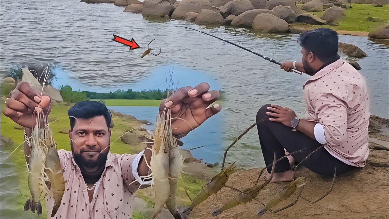 catching prawns in small hook   how to hook a shrimp for bait | ABS fishing videos in hindi