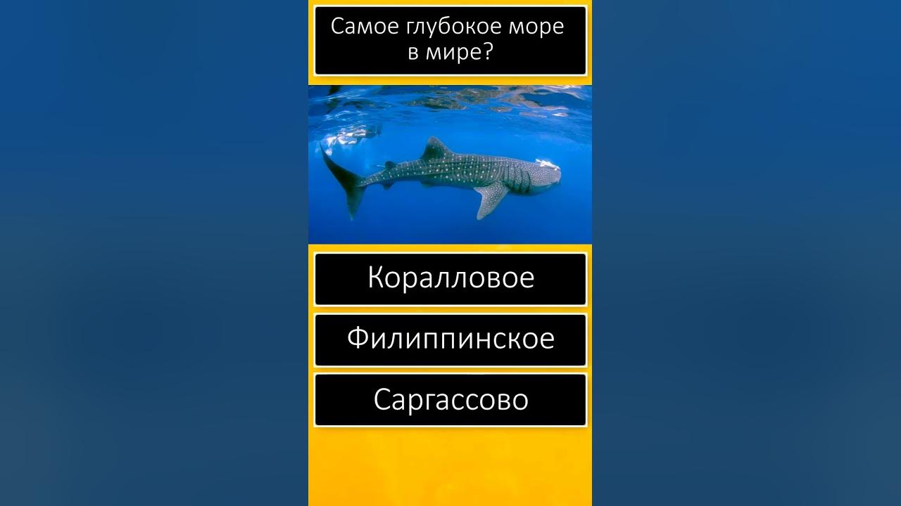 ОГЭ география 2024. ОГЭ география 2024 подготовка. ОГЭ география 2024 буклеты. ЕГЭ по географии 2024 решу ЕГЭ название океана б название океана а.