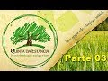 Criadouro De Pássaros Quinta da Estância / Parte 03 Final #PássaroseCantosOficial