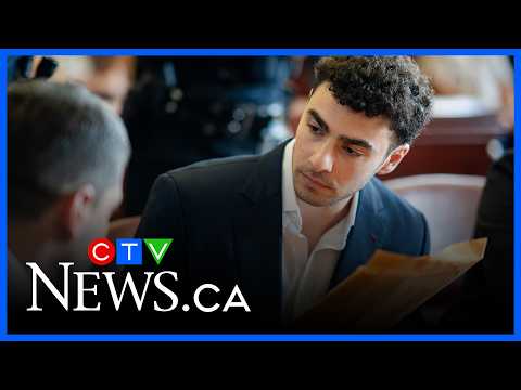 Luigi Mangione expected to plead guilty in hopes of receiving less than life sentence: Epner