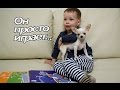 VLOG: Мама сделала брови / Лепим пельмени / Розыгрыш 3 призовых места!!!