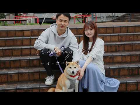 【テンプレート①_作成実績9】オープニングムービー /シンプル/おしゃれ/スタイリッシュ