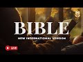 Holy Bible NIV – Daily Reading of God’s Word for Strength and Peace 🔴 BibleVision LIVE