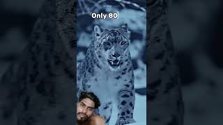 https://youtube.com/shorts/erXVBckvE1c?si=odX-h1ewOy2YvBZL