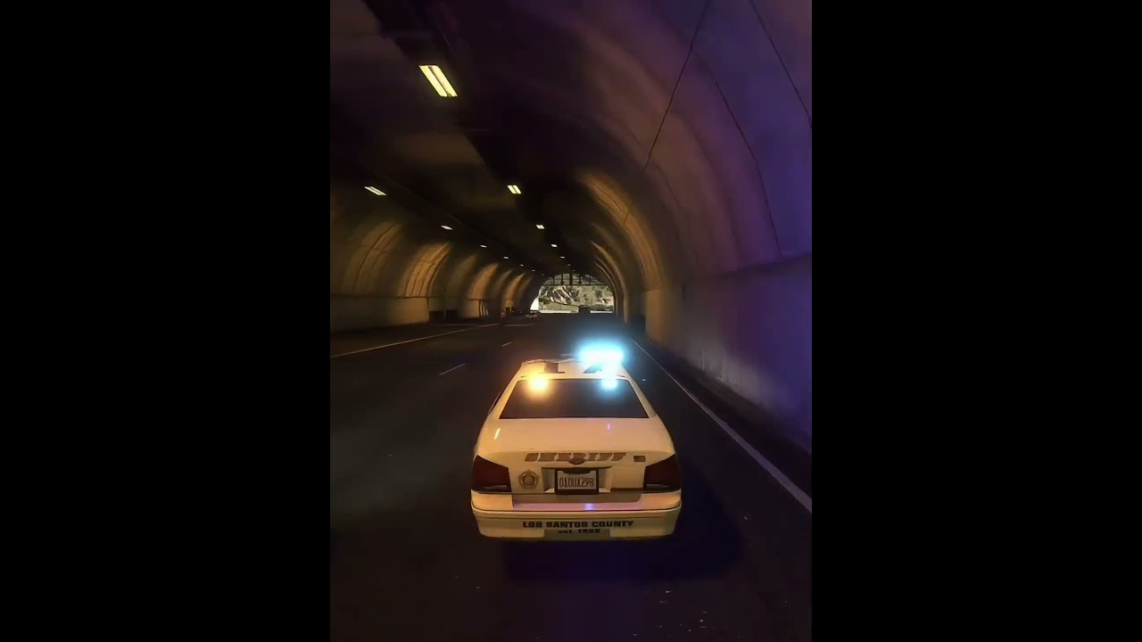 GTA V: Driving police car