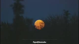 Video Lirik Nyanyian Rindu - Evie Tamala (Cover by Alisa Gasentra Pajampangan)