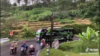 Basuri Manuk Dadali QQ Trans Nabila