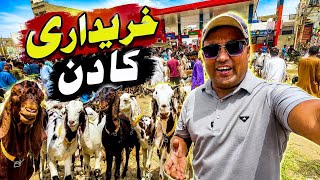 😱 Karachi Ki Sunday Bakra Mandi Mein Aaj Kya Rate Mila? 🐐🔥 | Orangi Town Latest Rates Update 2027