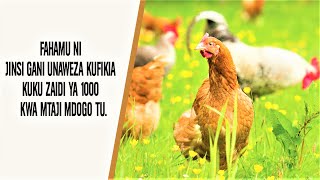 FAHAMU NI JINSI GANI UNAWEZA KUFIKIA KUKU ZAIDI YA 1000  KWA MTAJI MDOGO TU.