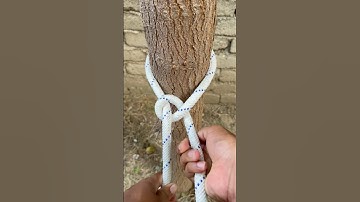 World Famous Loop Knot !