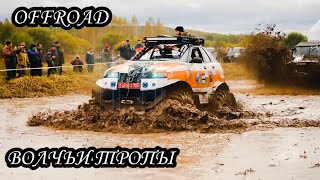 Волчьи тропы 2018| Offroad | Отдых здорового мужика