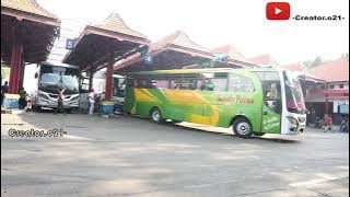 Markas nya Bus Balap Legend | Terminal Probolinggo Jawa Timur