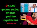 Qorichi Qaama Saalaa Dhiiraa Guddisu Argameera
