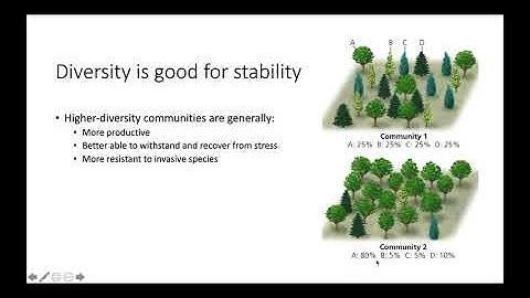 Species Diversity and Species Richness