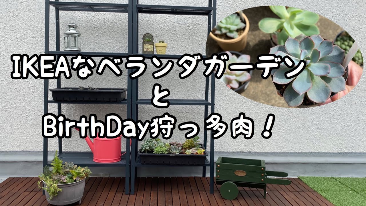 Ikeaな多肉ガーデン作製中 バースデーも多肉狩り Youtube