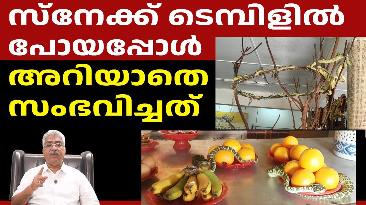 പാമ്പുകൾക്കിടയിൽനിന്ന് രക്ഷപെട്ടത്ജീവിതത്തിൽ ഒരിക്കലും മറക്കില്ല Snake Temple Justice Kemal Pasha