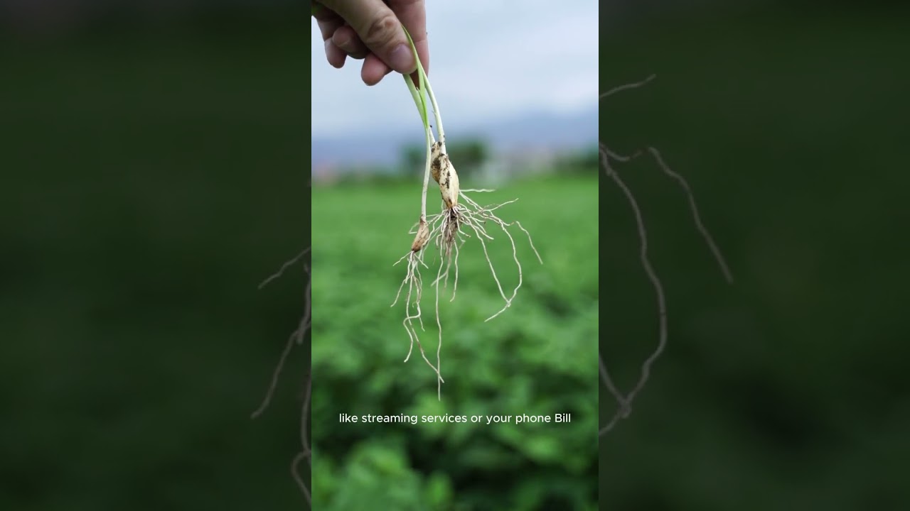 A Free Tool That Might Boost Your Credit