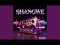 BEST AMAPIANO PARTY MIX 2026 SHANGWE Swahili Dance Celebration