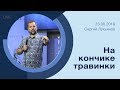 "На кончике травинки" - Сергей Лукьянов - 23.06.2019