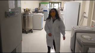 HST Virtual Tour: Jacks lab (Koch Institute)