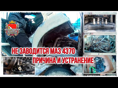 Не заводится маз 4370 зубренок  Причина и устранение