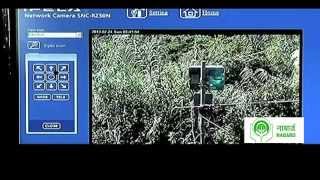 Real-Time Landslide Monitoring System