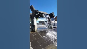 Thumbnail of Waterfall #music #motivation #cover #song #memes #travel #dj #funny #shorts #shortvideo #water