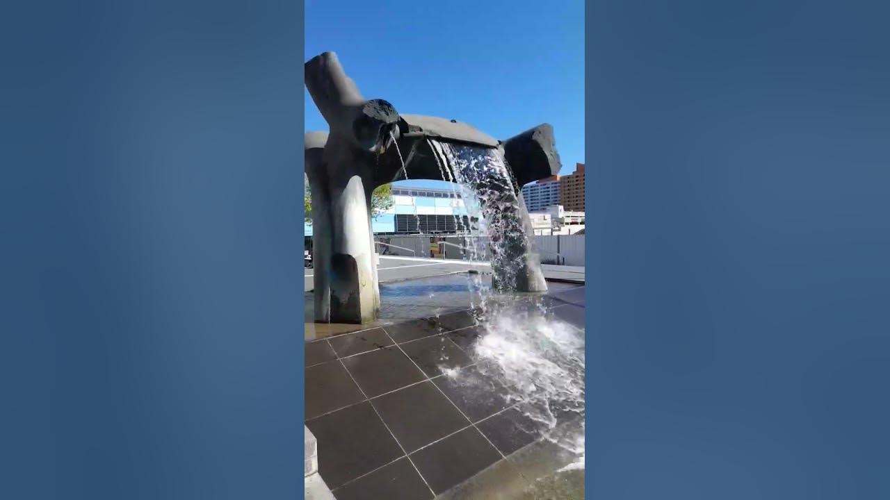 Waterfall #music #motivation #cover #song #memes #travel #dj #funny #shorts #shortvideo #water