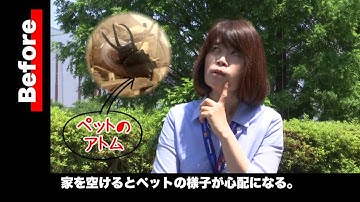 Panasonic  Home Network System (Case Study)