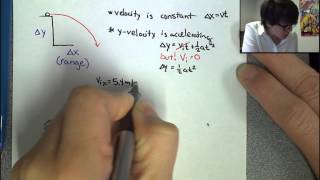 Projectile Motion (Horizontally Launched Only) Review