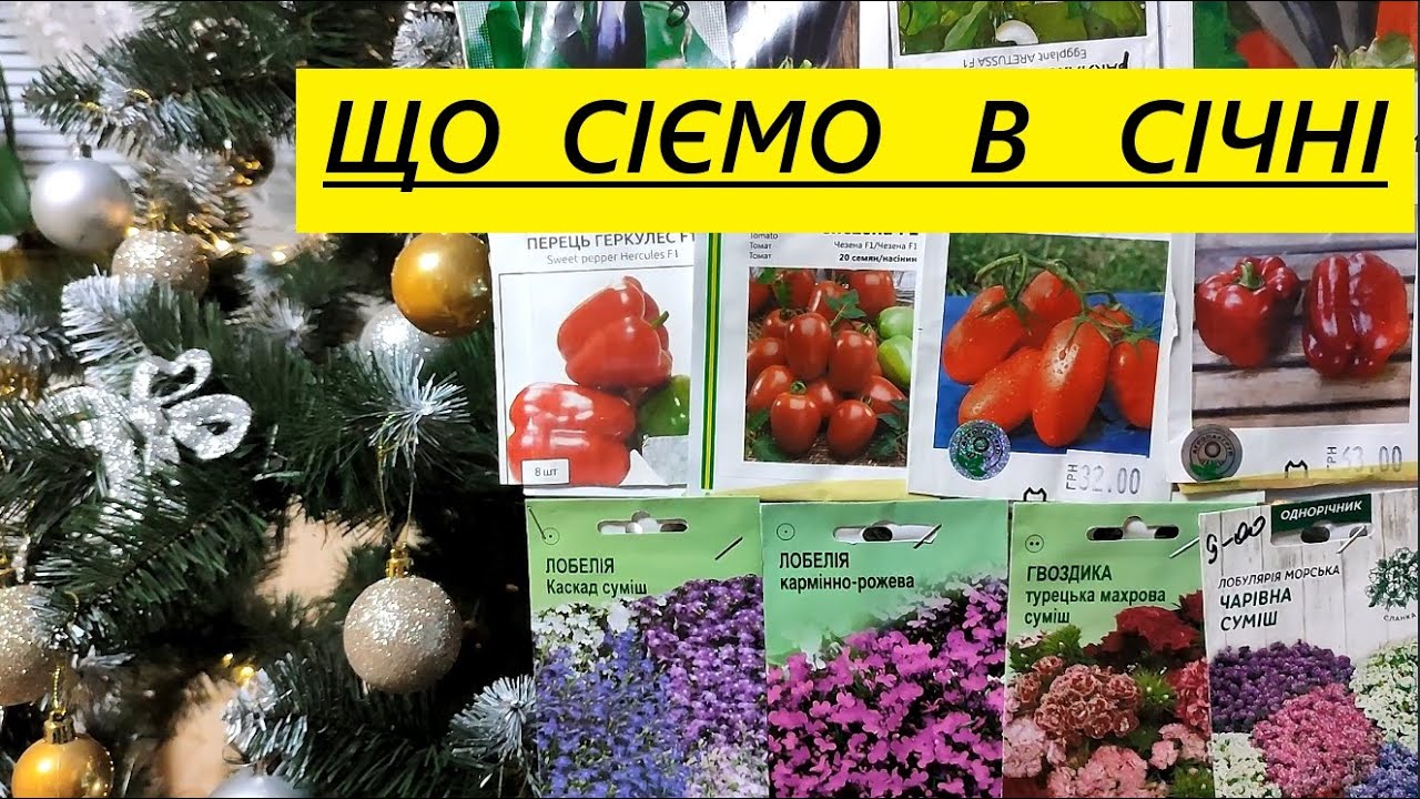 ЯКІ  КВІТИ  ТА  ОВОЧІ  МОЖНА  СІЯТИ  ЩЕ  У  СІЧНІ