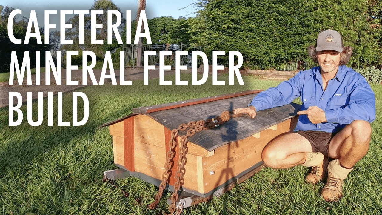 FREE-CHOICE CAFETERIA STYLE MINERAL FEEDER BUILD!!