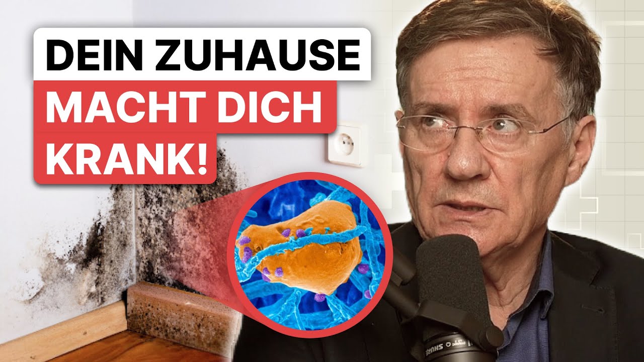 Schimmelpilz in der Wohnung - VERSTECKTES RISIKO und was Du tun solltest!