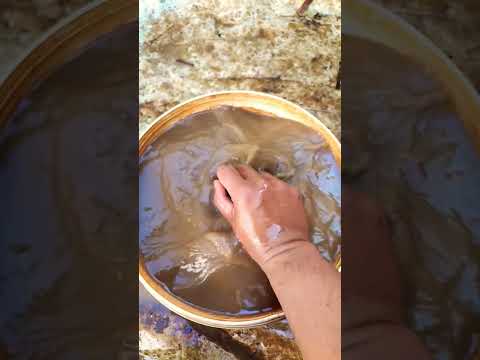 Life After You Shorts Feedshorts Subscribe