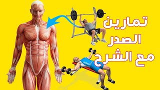 تمارين كمال اجسام تمارين الصدرً في الجيم للمبتدئين تمارين الصدر المتقدمة تمارين الصدر سوبر ست chest