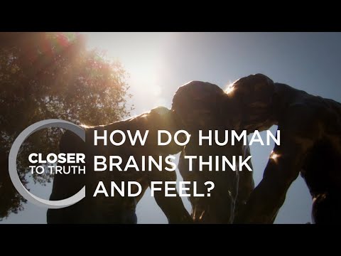 How Do Human Brains Think and Feel Episode 501 Closer To Truth by Closer To Truth