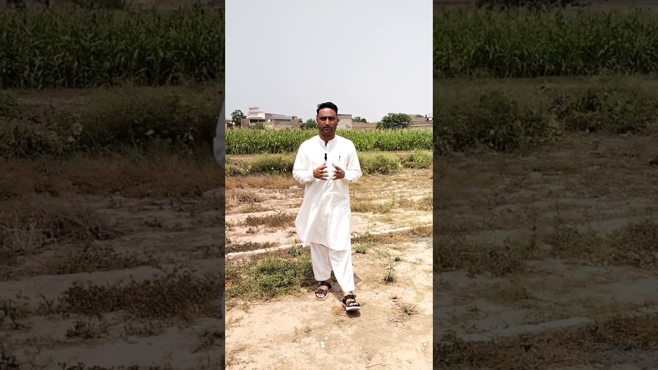 🏗️ Project Announcement Captions:1.✨ New Project Alert!Thekedar99 proudly launches 0312-9893948