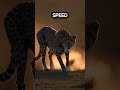 This Big Cat Has the Cutest Voice Ever! 😍😘