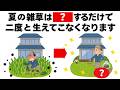【雑草対策】夏に生える雑草はこれをすると勝手に簡単に全滅します 毎日を快適にするライフハック雑学